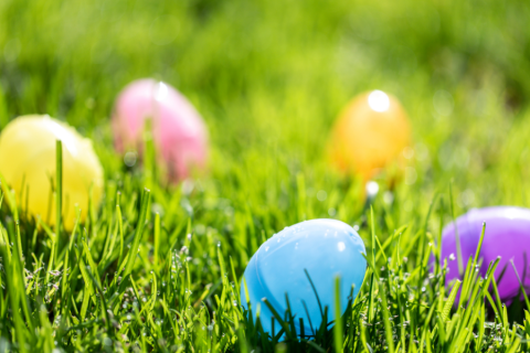 Brightly colored plastic Easter eggs nestled in grass