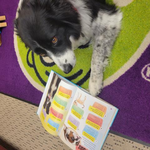 Tail Waggin' Reads