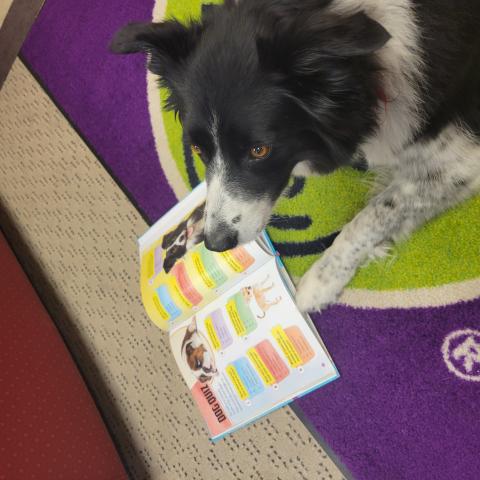 Tail Waggin' Reads