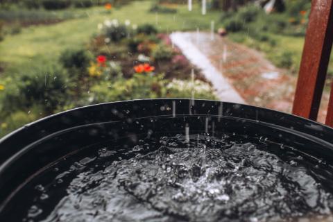 rain barrel