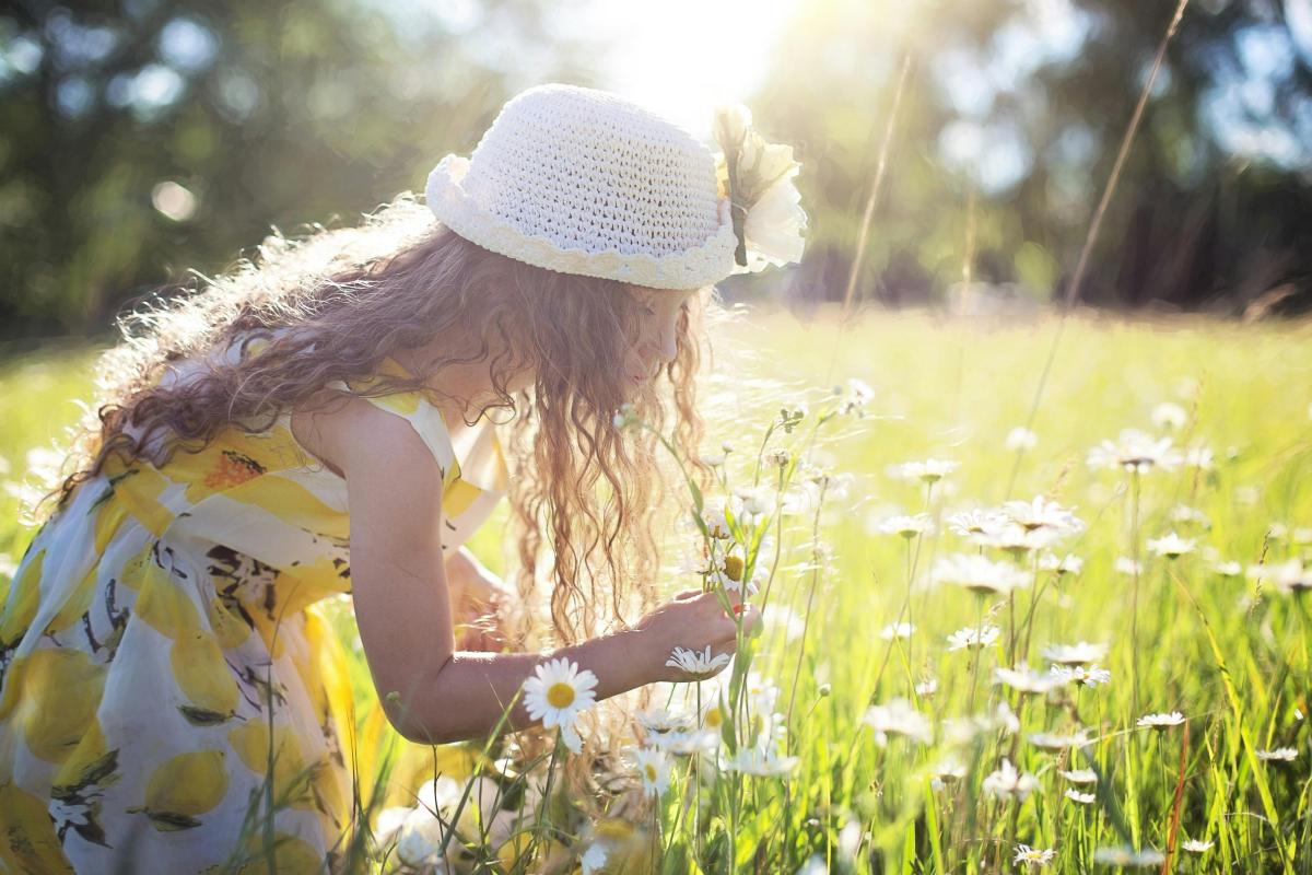 child in a field of daisies