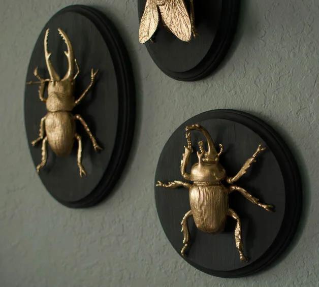 gilded insects mounted on wooden plaques 